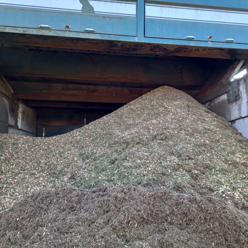 IMG_20230209_140452_3