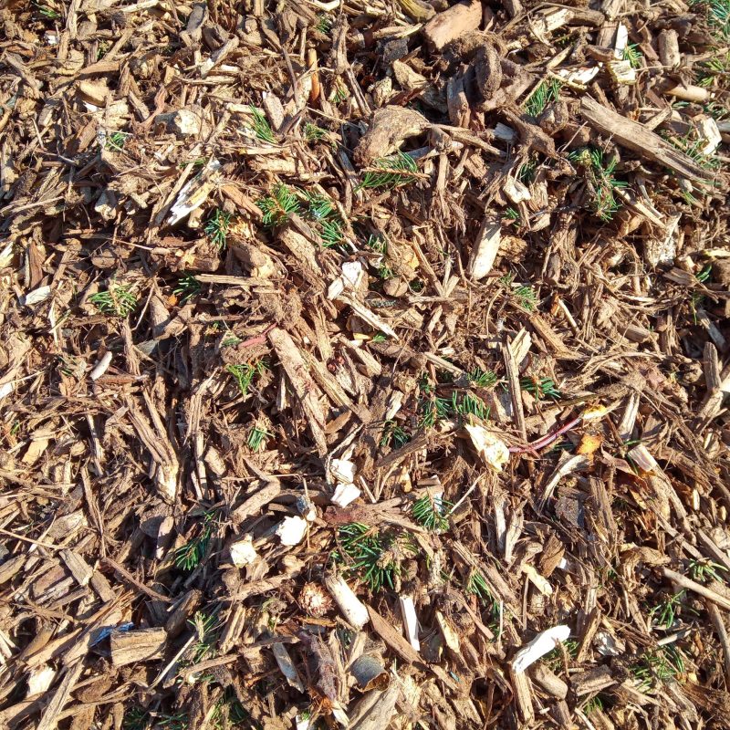 IMG_20230209_140556_5