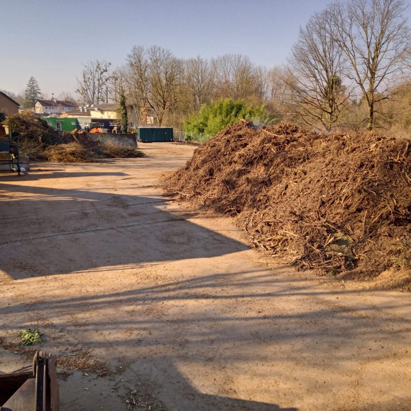 IMG_20230209_140822_7