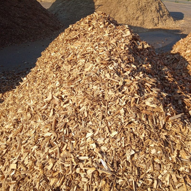 IMG_20230209_142626_0