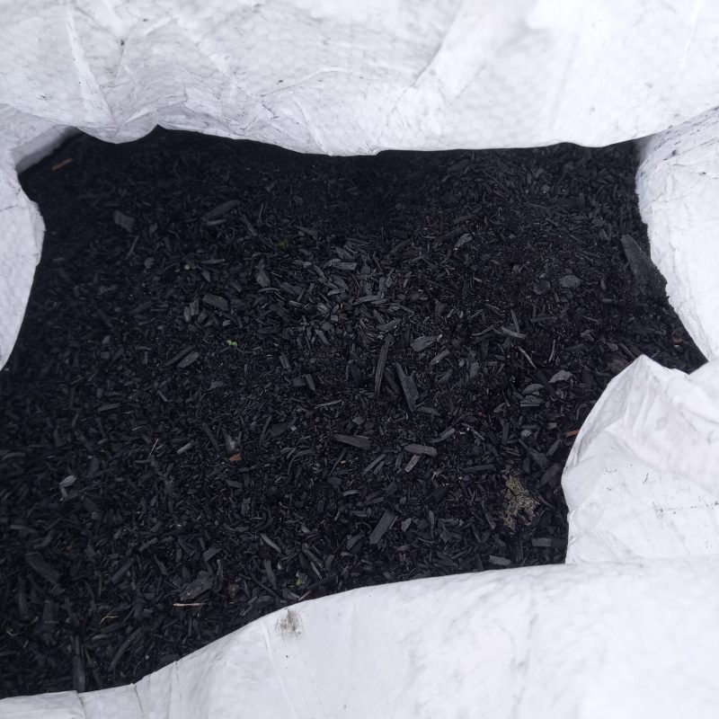 IMG_20230209_154852_1